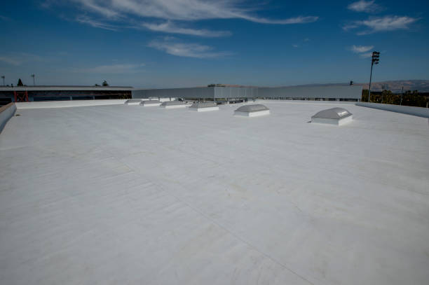 Best Rubber Roofing (EPDM, TPO)  in Mission, TX