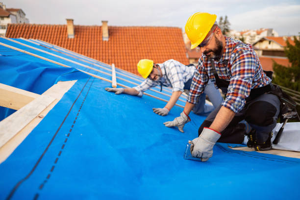 Best Chimney Flashing Repair  in Mission, TX