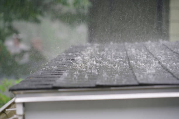 Best Sheet Metal Roofing  in Mission, TX