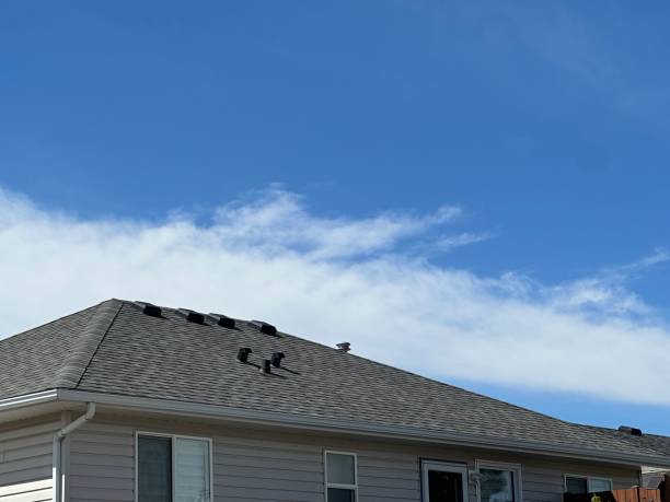 Best Roof Replacement  in Mission, TX